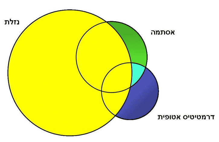 חפיפה מחלות וסימפטומים